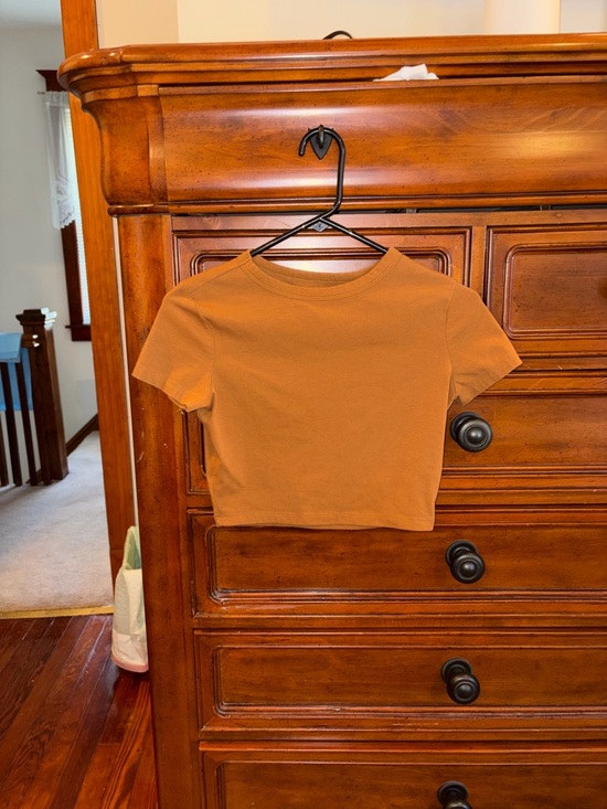 wild fable Tops - Wild Fable Cropped Tee Size Small Rust Orange Short Sleeve Fitted Crop Top